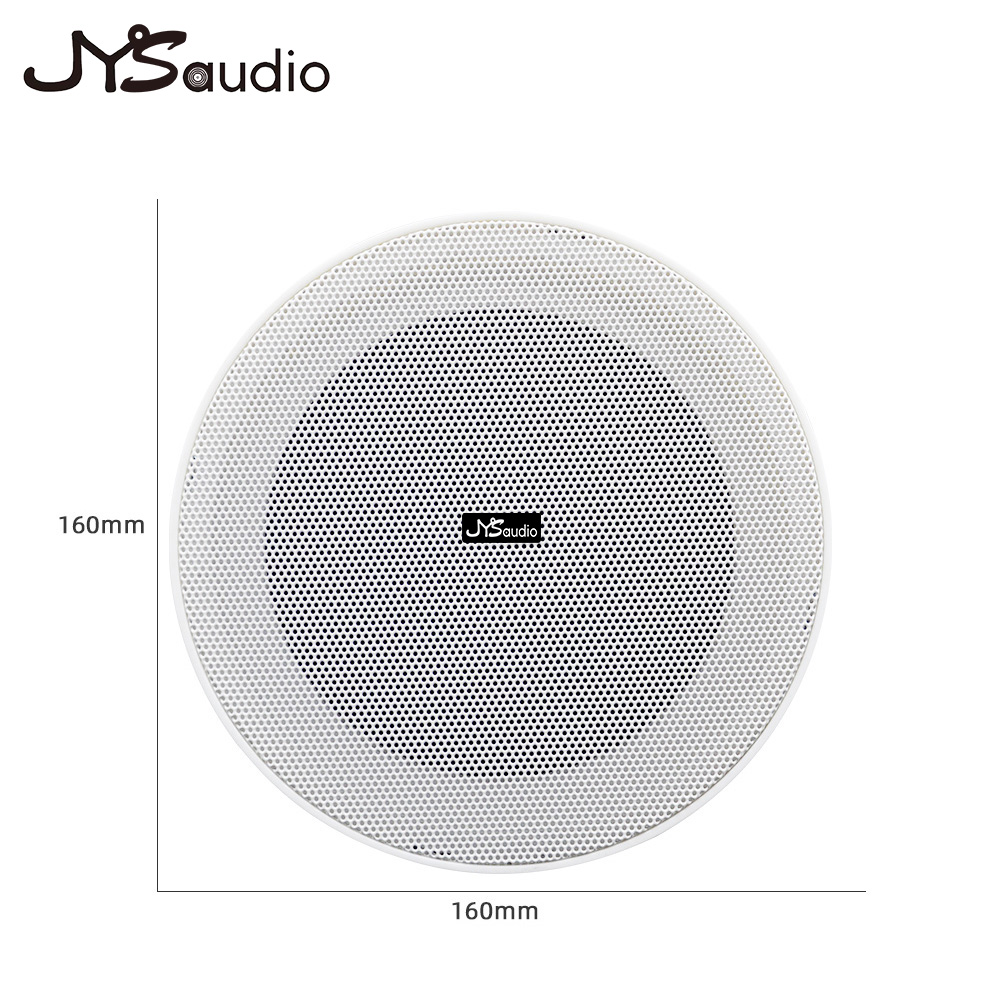 Smart Home Speaker - مكبر صوت بدون إطار للسقف 10
