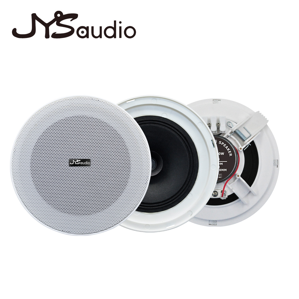 مكبر صوت بدون إطار للسقف 10 وا - مراجعة Smart Home Speaker وسعره